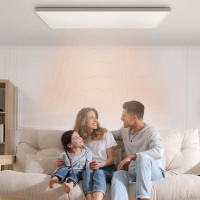 Byecold - High Performance Infrarood Plafondpaneel 860W