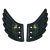 Afbeelding van Shwings foil wings
