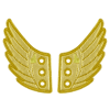 Afbeelding van Shwings foil wings