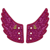 Afbeelding van Shwings sparkle wings