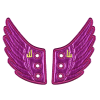 Afbeelding van Shwings foil wings