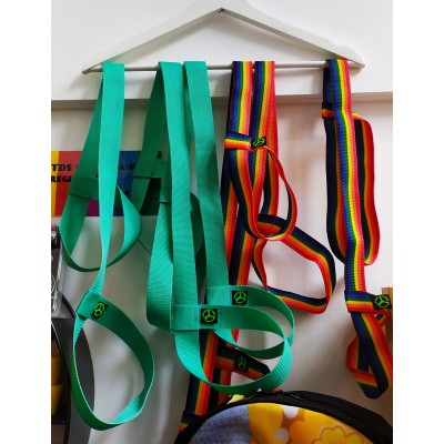 TDS skate leash TDS skate leash