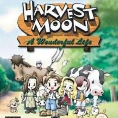 Harvest Moon A Wonderful Life Nintendo GameCube Harvest Moon A Wonderful Life Nintendo GameCube