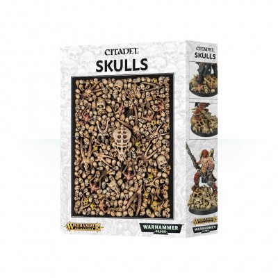 Citadel Skulls CITADEL Citadel Skulls CITADEL