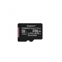 Bulk Kingston 256GB MicroSD Card (Only SD Card)