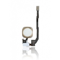 iPhone 5S / SE Home Button With Flex (Gold)