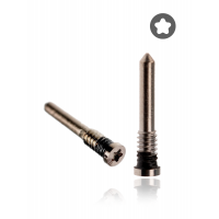 Apple iPhone 13 Pro Max Bottom Screw (Gold)