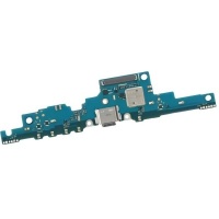 Samsung Galaxy Tab S8 (11 inch) (SM-X700N) Charging port 