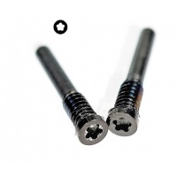 iPhone X TO 12 Pro Max Bottom Screw (Gold) (2 pcs)