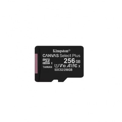 Foto van Bulk Kingston 256GB MicroSD Card (Only SD Card)