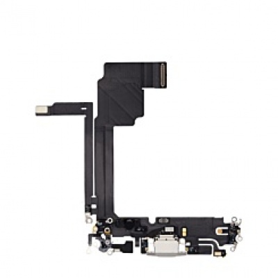 Foto van iPhone 15 Pro Max Oplaadpoort (Wit)