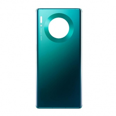 Huawei Mate 30 Pro Back Cover (Green)