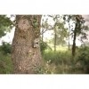 Afbeelding van Wildcamera 8 MPixel