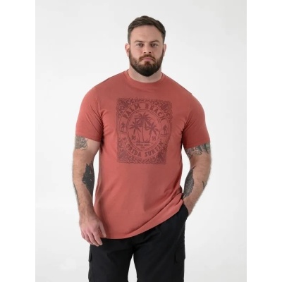 Foto van D555 - TITCHMARSH - Plussize T-Shirt - Oranje-Bruin - Print