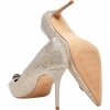 Foto van Kurt Geiger Dames Pump Silver 3939914069 Belgravia