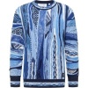 Foto van Carlo Colucci Heren Trui Blauw C12511/121