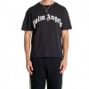 Foto van Palm Angels Heren T-shirt Zwart PMAA109S26JER00G/1003 Curved Logo Regular