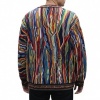 Foto van Carlo Colucci Heren Trui Multi C12509/101