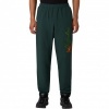 Foto van Australian Heren Broek Groen ARUPA0030/918 Pantalone Slam Bumper Logo