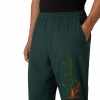 Foto van Australian Heren Broek Groen ARUPA0030/918 Pantalone Slam Bumper Logo