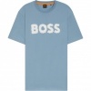 Foto van Boss Heren T-Shirt Blauw 50554616/451 Te_Frozen
