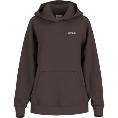 Foto van Guess Dames Trui Bruin V6RQ14-K9V31/A10K Nat