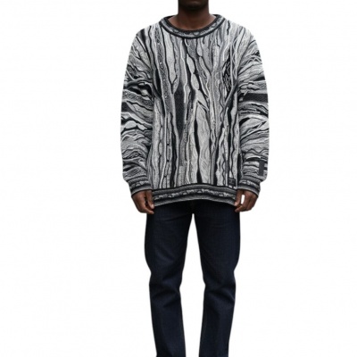 Foto van Carlo Colucci Heren Trui Zwart C12509/201