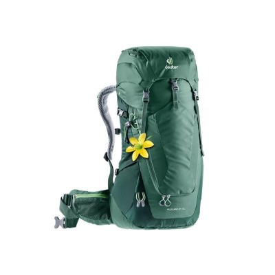 Rugtas Deuter Futura 24 SL seagreen/forest Rugtas Deuter Futura 24 SL seagreen/forest