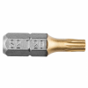 Bit Torx T20 25mm
