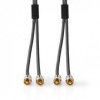 2x RCA Male 2x RCA Male 2.0mtr