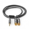 3.5 mm Male 2x RCA Male 2.0mtr 3.5 mm Male 2x RCA Male 2.0mtr
