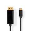 Usb C naar displayport kabel 2mtr