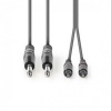 Monojack 2x 6.35 mm 2x RCA Male