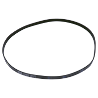 Haier Poly V-snaar 1161 EPJ6 HK2025055