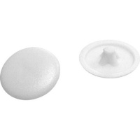 Afdekkap spaanplaatschroef wit 25 st.