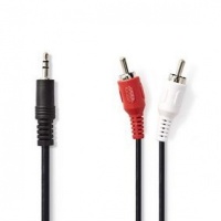 3.5mm. jack naar 2 x RCA kabel 10mtr.