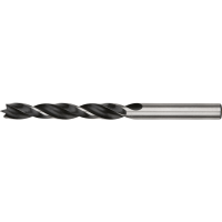 Houtboor | 10,0mm. | 1st.