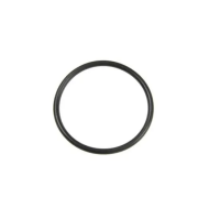 Karcher O-ring 21x1,5 mm 63635360