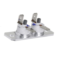 Candy Thermostaat bij Element 43018855 - 2 Stuks