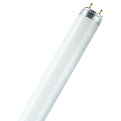 TL-Buis T8 18W/830 60cm Foto van TL-Buis T8 18W/830 60cm
