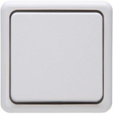 Opbouw schakelaar wissel wit Foto van Opbouw schakelaar wissel wit