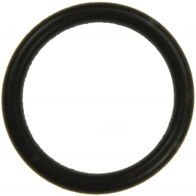Foto van Karcher O-ring EPDM 22x3 63634680