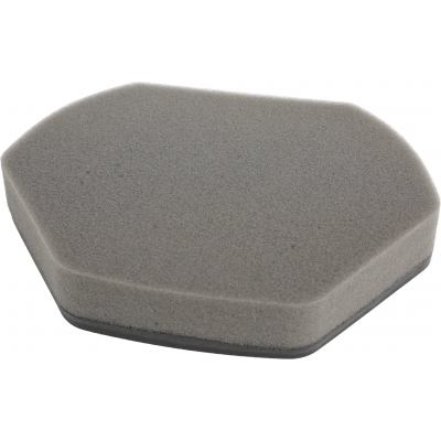 Bosch Filter Schuimfilter 12012937