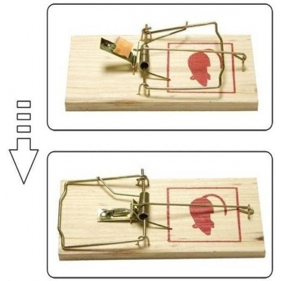 Houten muizen/rattenval XL Houten muizen/rattenval XL