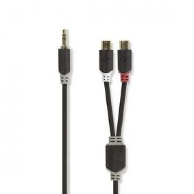 Foto van 3.5 mm Male 2x RCA Female Verguld