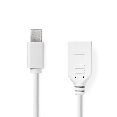 Mini DisplayPort naar DisplayPort Foto van Mini DisplayPort naar DisplayPort