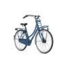 Afbeelding van GAZELLE PuurNL, Spark Blue Mat