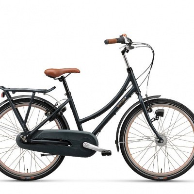 Batavus Bronx 24 Batavus Bronx 24
