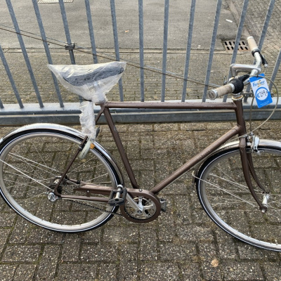 Gazelle Van Stael, beige Gazelle Van Stael, beige