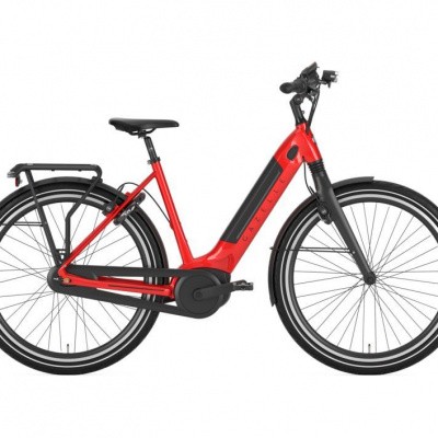 Gazelle Ultimate C8+ HMB, champion red glans Gazelle Ultimate C8+ HMB, champion red glans